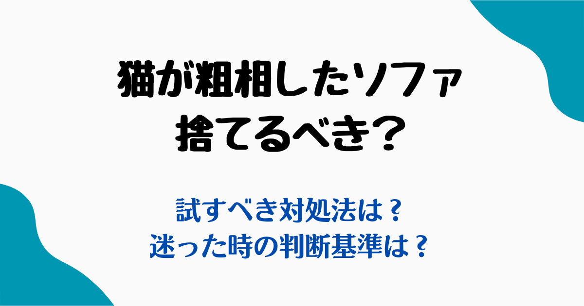 猫粗相ソファ捨てる